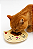 COMEDOURO DE CERÂMICA RASO PARA GATOS -BEGE - Imagem 1