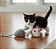 Brinquedo 3 Ratinhos de Pelúcia para Gatos - Imagem 2