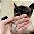 Chaveirinho Cápsula de Pelos de Gatinho - Imagem 6