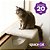 Prateleira cama de janela para gato - SpaceCat Apollo - Imagem 1