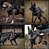 Combo Viagem Segura & Limpa: Capa + Peitoral ARMOR OPS II + Guia Power - Imagem 5