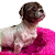 Cama Pet Nuvem Pelúcia Redonda Para Cachorros E Gatos Tamanho 70 cm Rosa - Imagem 2