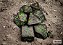 Speckled Earth Polyhedral 7-Dice Set - Imagem 1