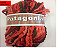 PATAGONIA 100gr. - Imagem 4