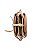 Bolsa feminina - Alça tiracolo - Cristal Clássico - Natural - Chenson 3484721 - Imagem 4