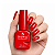 Esmalte em Gel Dafu Color Coat 10 ml - Cor 61 - Imagem 1