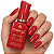 Esmalte em Gel Dafu Red Palette - 03 - Imagem 1