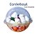 Bola Transparente Confeibowl C/ Divisória Enfeite Arvore De Natal 9und - Imagem 1