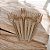 Kit 50 Garfo Bagaço De Fibra Vegetal 17cm - Biodegradável - Imagem 1