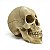 Crânio 15cm - Envelhecido (caveira) - Imagem 1