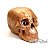 Crânio 5cm - Cor Bronze  (caveira) - Imagem 1