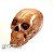 Crânio 5cm - Cor Bronze  (caveira) - Imagem 3