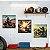 Quadro Motociclismo 20x20cm - 3 unidades - diversos imagens para escolher - Imagem 1