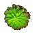 Suculenta Echeveria em Silicone Verde e Roxa - Imagem 2