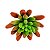 Suculenta Dedo de Moça em Silicone Verde Outonado - Imagem 1