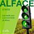 Sementes de Alface Crespa Eneida com 5.000 Sementes Seminis - Imagem 4