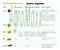 Amino Arginine Arginina Foliar Fertirrigação 1 Litro Fertilizante Foliar Ajinomoto - Imagem 4