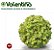 Sementes Alface Crespa Valentina Com 7.500 Sementes Sakata - Imagem 2