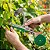 Alceador Amarrador Galhos Manual Caule Ramos Tape Tool Lira - Imagem 5