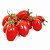 Semente De Tomate Grape Hibrido Mascot F1 - Envelope com 500 Sementes TopSeed - Imagem 2
