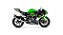 Escapamento Akrapovic Racing Line ponteira em carbono - Kawasaki ZX-6R 636 - Imagem 1