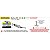Ponteira Arrow e Link Pipe Race Tech - Husqvarna Norden 901 2024/2026 - Imagem 5