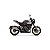 Ponteira Indy Race EVO titanium silencer with carby end cap - Triumph TRIDENT 800 2026 - Imagem 1