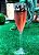 Taça Champagne Personalizada - Acrilico - Imagem 3