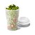 50 Copos para salada em PP com garfo e molheira 850 mL 53878 - Imagem 2