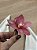 Porta Guardanapo Duo de Orquídea Rosa  – Argola de Madeira | Unidade - Imagem 5