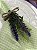 Porta-Guardanapo Lavanda Minimalista com Argola de Madeira - Imagem 4