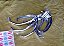 Friso Moldura Grade Farol Passat Ls E 74 78 Auto Peça Cavesa - Imagem 6