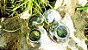 Brincos Prata 950 e Cristal Quartzo Green Magnata Espiral - Imagem 3