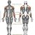 Ativador Circulação Sanguínea e Muscular Fisiomag By Shoppstore® Massagem/Relax Vibração100%Passiva - Imagem 7