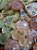 2 Quantum Shield orgonite para celular - Imagem 3
