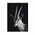 Quadro decorativo Animais Selvagens Gazela - fundo preto [BoxMadeira] - Imagem 4