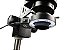 Microscópio Binocular 7045A Completo CN4 - Imagem 6