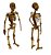 Quebra Cabeça Madeira 3D Esqueleto Humano Aquarela Brinquedos - Imagem 1