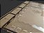Kit Dashboard para Ark Nova (4 unidades) - COM CASE - Imagem 9