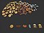 Kit de recursos especiais para Agrícola (138 peças) - Imagem 3