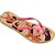 Chinelo Havaianas Feminino SLIM PETS 39/0 Dourado - Imagem 3
