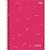 Caderno 10X1 Capa Dura Lunix 160FLS. - Imagem 2
