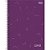 Caderno 10X1 Capa Dura Lunix 160FLS. - Imagem 3