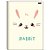 Caderno Brochurao Capa Dura Cute Animals 80FLS. - Imagem 2
