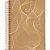 Caderno 10X1 Capa Dura KRAFT GOLD 160FLS. - Imagem 4