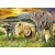 QUEBRA-CABECA Cartonado THE BIG Five 1000PCS - Imagem 5