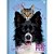 Caderno Brochura 1/4 Capa Dura MY PETS 80F (17891321104832) - Imagem 1