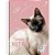 Caderno 01X1 Capa Dura MY PETS 80F (17891321101886)  PCT.C/04 - Imagem 4