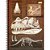 Caderno 10X1 Capa Dura Sauros 160F - Imagem 3