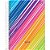 Caderno 10X1 Capa Dura Spiro 160FLS. - Imagem 5